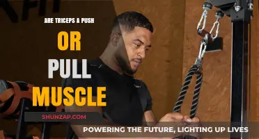 Triceps: Push or Pull? Understanding Muscle Mechanics in Strength Training