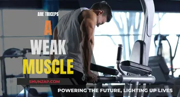 Exploring Triceps: Uncovering a Common Weakness