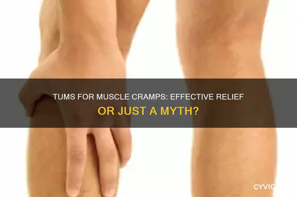 are tums good for muscle cramps