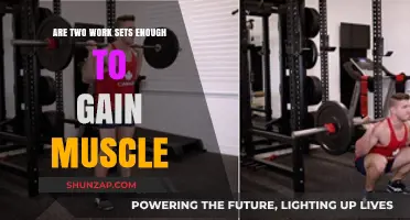 Is Two Work Sets Sufficient for Effective Muscle Growth?