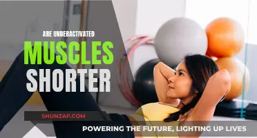 Muscle Underactivation: Are Shorter Muscles Weaker?