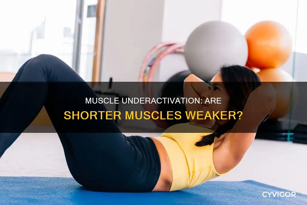are underactivated muscles shorter