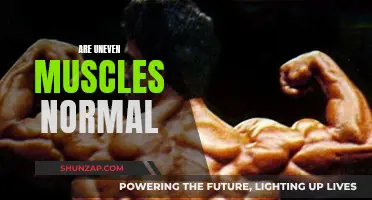 Muscle Asymmetry: Are Uneven Muscles a Concern?