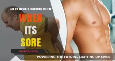 Muscle Soreness and Fat Absorption: Unraveling the Post-Workout Myth