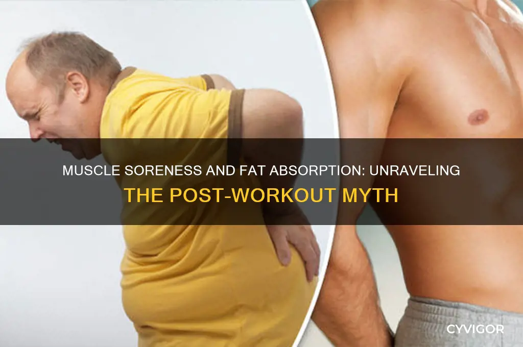 are ur muscles obsorbing the fat when its sore