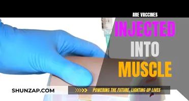 Vaccines: Muscle Injections and Their Importance