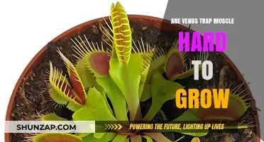 Growing Venus Flytrap Muscles: Unlocking the Challenge of Hard-to-Build Strength