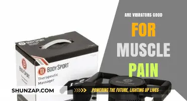 Vibrators for Muscle Pain: Effective Relief or Just a Buzz?