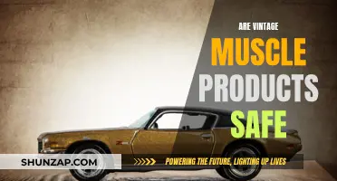 Muscle Gains: Are Vintage Products Safe for Consumption?