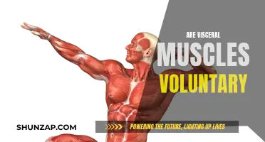 Understanding the Nature of Visceral Muscle Control