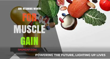 Vitamins for Muscle Gain: Essential Supplements or Overhyped Myth?