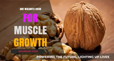 Walnuts for Muscle Growth: Benefits, Nutrition, and Fitness Impact