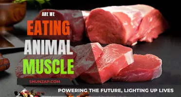 Muscle Tissue Meals: Are We Eating Animal Muscle?