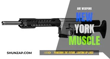 Weapons: New York's Dark Muscles and Power
