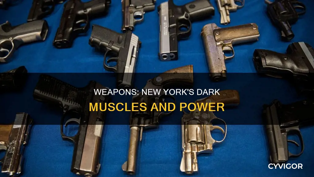 are weapons new york muscle
