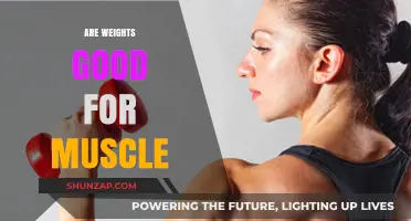 Weights for Muscle Growth: Benefits, Myths, and Effective Strategies