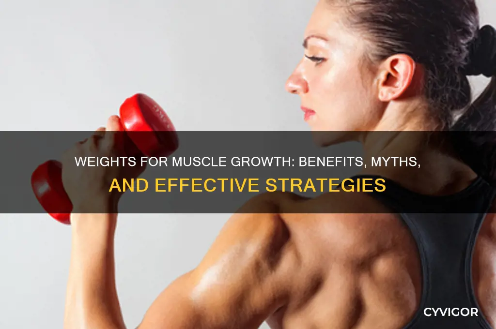 are weights good for muscle