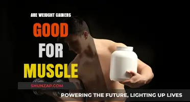 Are Weight Gainers Effective for Muscle Growth? A Comprehensive Review