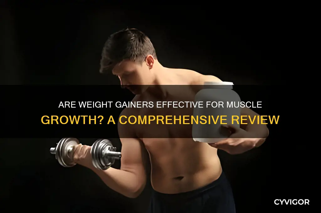 are weiught gainers good for muscle