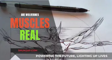 Wolverine's Muscles: Hollywood Magic or Real Deal?