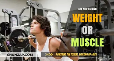 Weight Gain vs. Muscle Growth: Understanding Your Body's Transformation