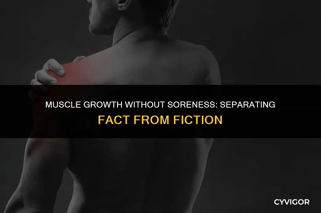 are you getting good muscle growth if you aren