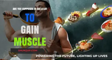 Fuel Your Gains: How Much Should You Eat to Build Muscle?