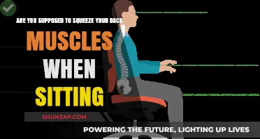 Proper Posture: Engaging Back Muscles While Seated
