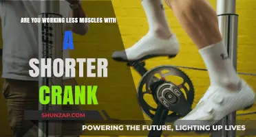 Shorter Cranks: Impact on Muscle Engagement in Cycling Explained