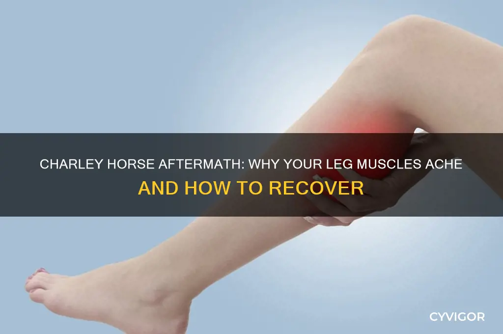 are your leg muscles sore after a charley horse