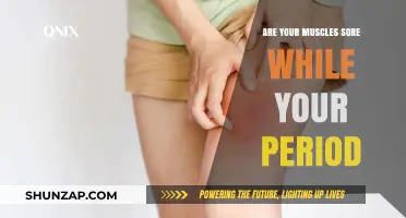 Period Muscle Soreness: Understanding Menstrual Cycle Pain and Relief