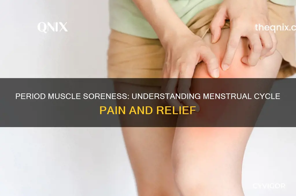 are your muscles sore while your period