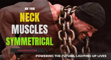 Neck Muscle Imbalance: Is Yours Symmetrical?