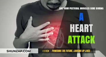 Pectoral Pain and Heart Attacks: Understanding the Connection and Symptoms