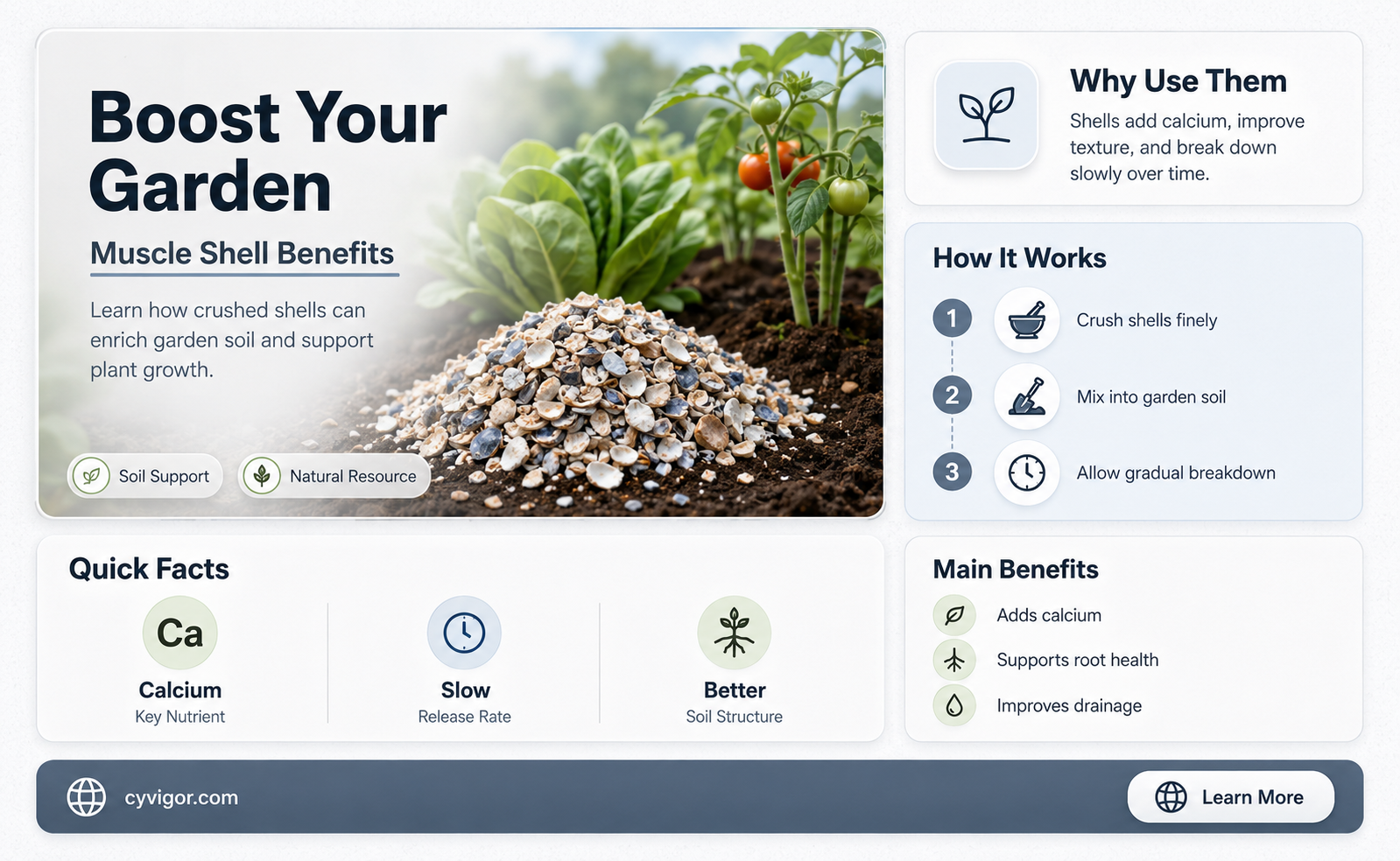 are muscle shells good to add to garden