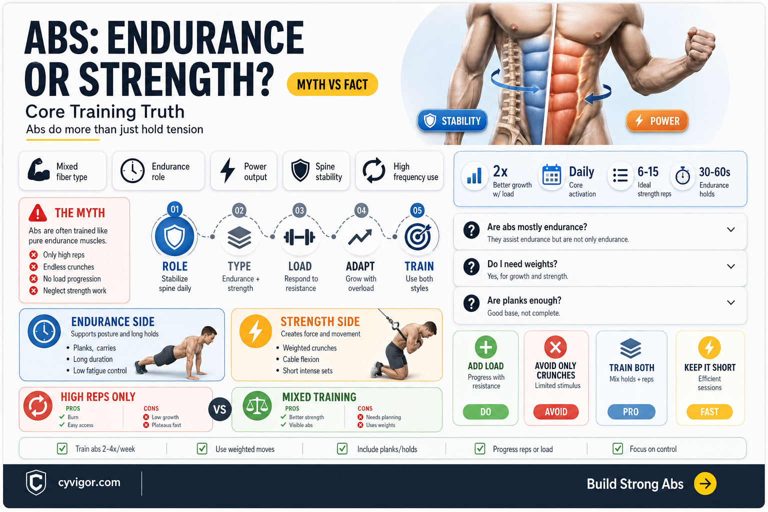 are abs endurance muscles
