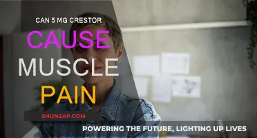 Crestor and Muscle Pain: Is There a Link?