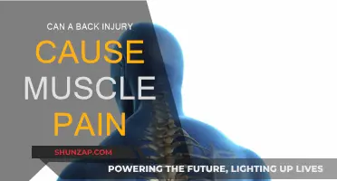 Back Injuries: Understanding Muscle Pain Causes