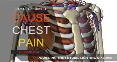 Back Muscle and Chest Pain: What's the Link?