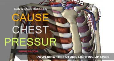 Back Muscle Issues: A Surprising Cause of Chest Pressure