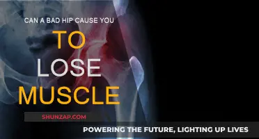 Hip Health: Muscle Loss and Recovery