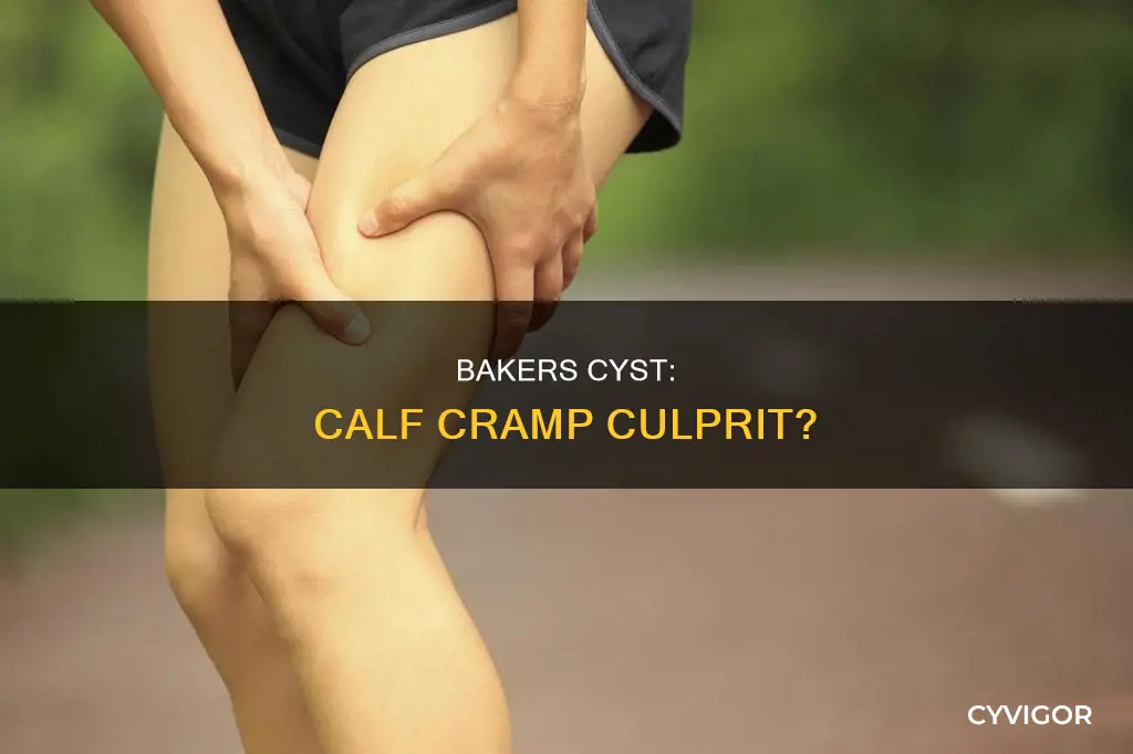 can a bakers cyst cause cramping in calf muscle