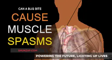 Bug Bites: Unlikely Culprits of Muscle Spasms?