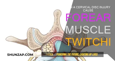 Cervical Disc Injuries: Forearm Twitching Explained