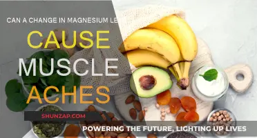 Magnesium Deficiency: The Cause of Your Muscle Aches?
