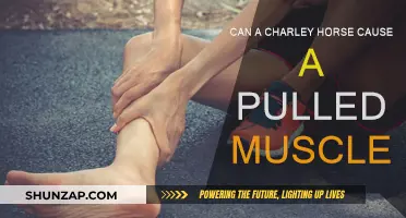 Charley Horses: Cause Pulled Muscles?