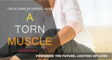 Charley Horses: The Cause of Torn Muscles?