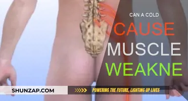 Cold-Induced Muscle Weakness: What's the Link?
