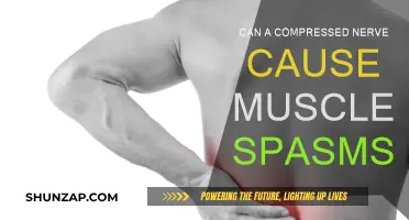 Compressed Nerve and Muscle Spasms: What's the Link?