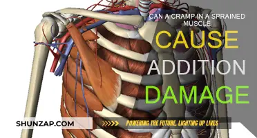 Sprained Muscle Cramps: Harmful or Harmless?